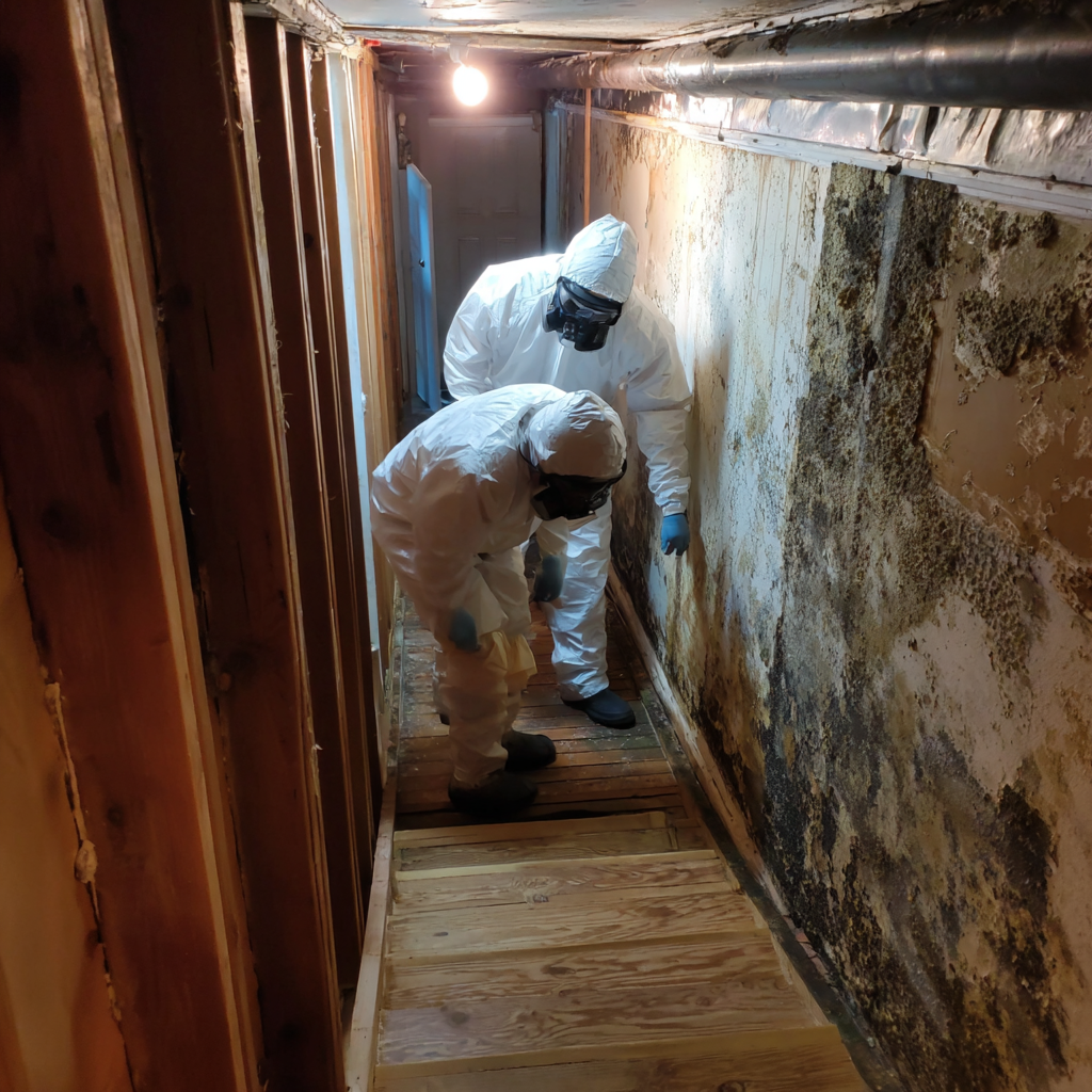 Water extraction process